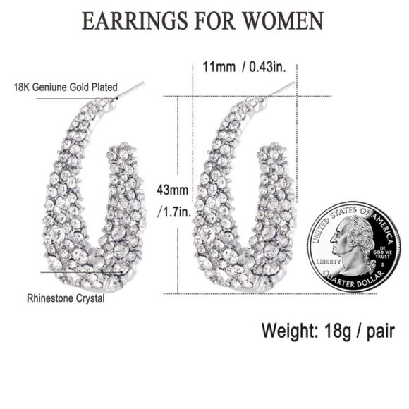 18k White Gold and 925 Sterling Silver with White Diamond Crystal Hoop Earrings
